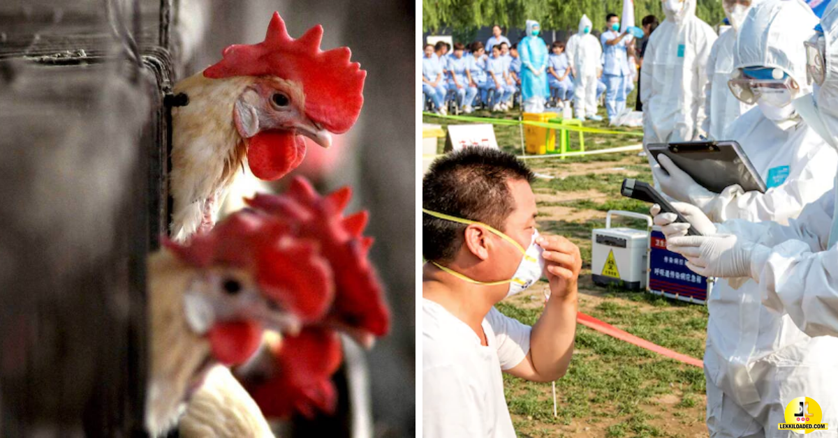 China records world’s first case of human infection with H10N3 bird flu