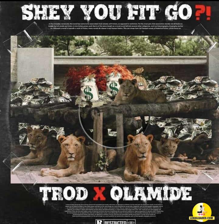 Trod – Shey You Fit Go Ft Olamide