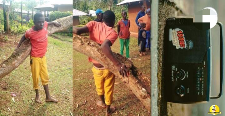 19-year-old man nailed to a tree on suspicion of stealing a radio (photos)