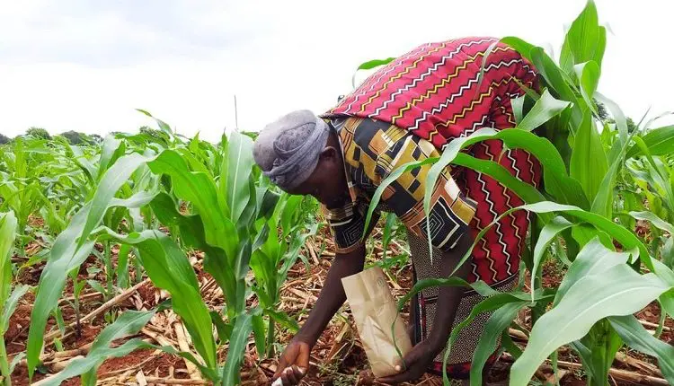 Farmer-fertiliser-insurance-750x430-1