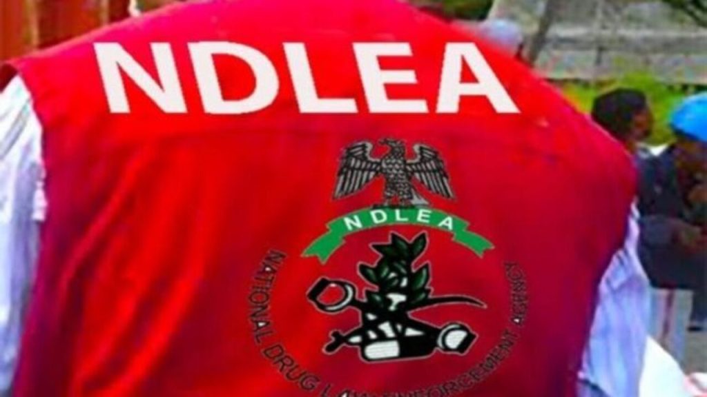 NDLEA-1-5