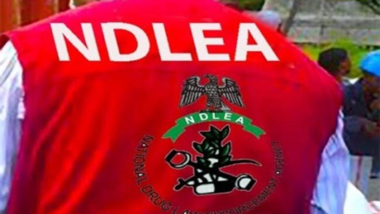 NDLEA-1-5