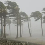 Windstorm-