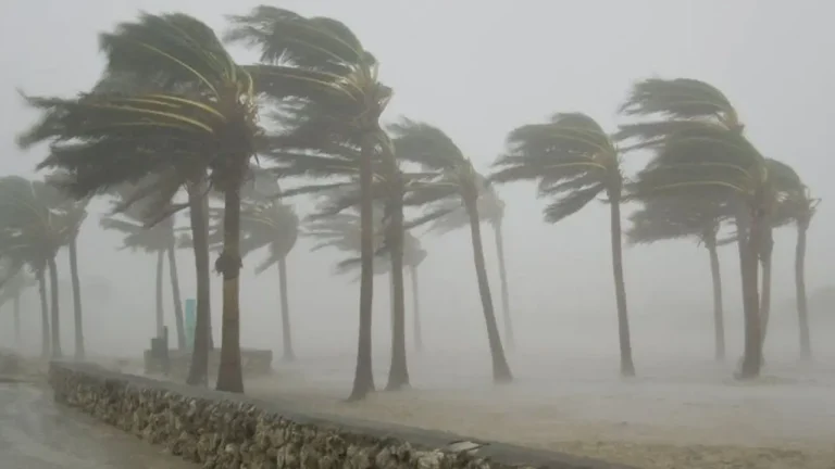 Windstorm-