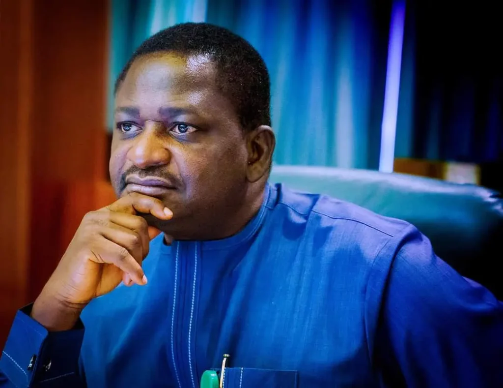 femi-adesina-2