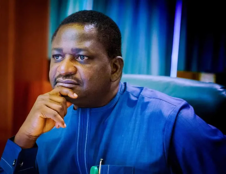 femi-adesina-2