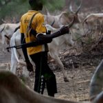 herdsmen