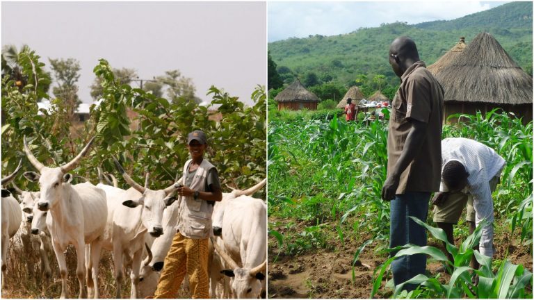 herdsmen-and-farmer