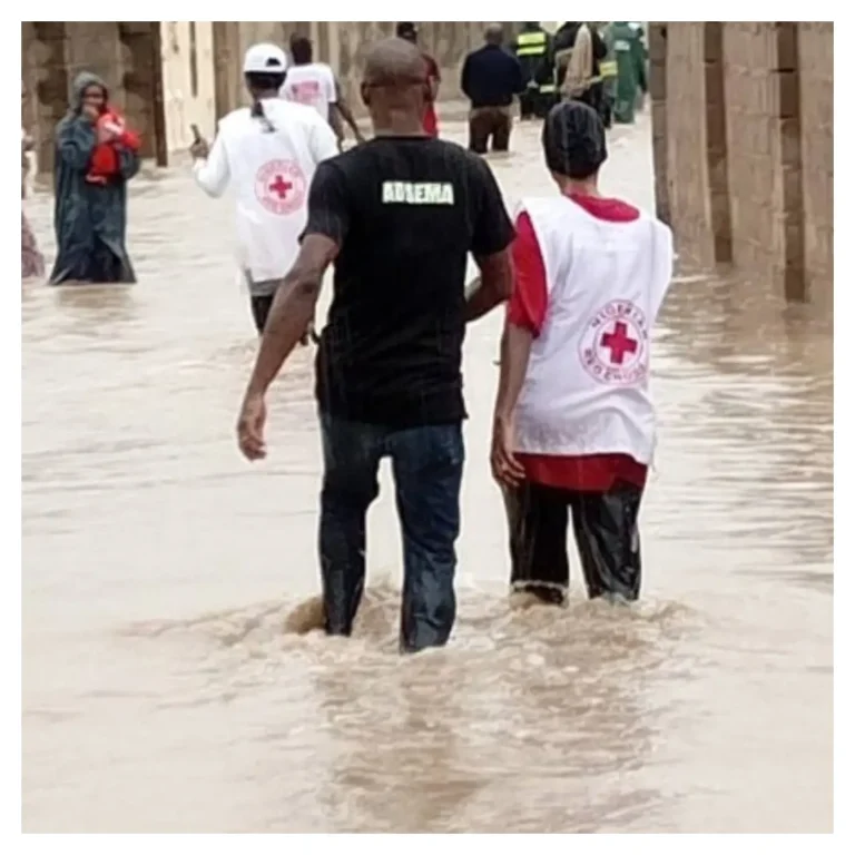 Adamawa-flood