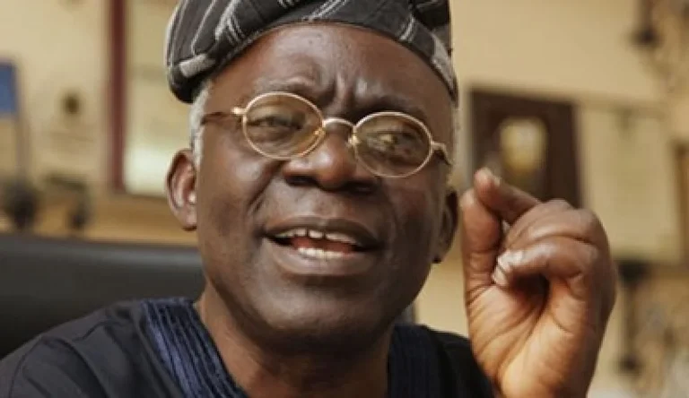 Femi-Falana-2