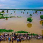 Jigawa-flood