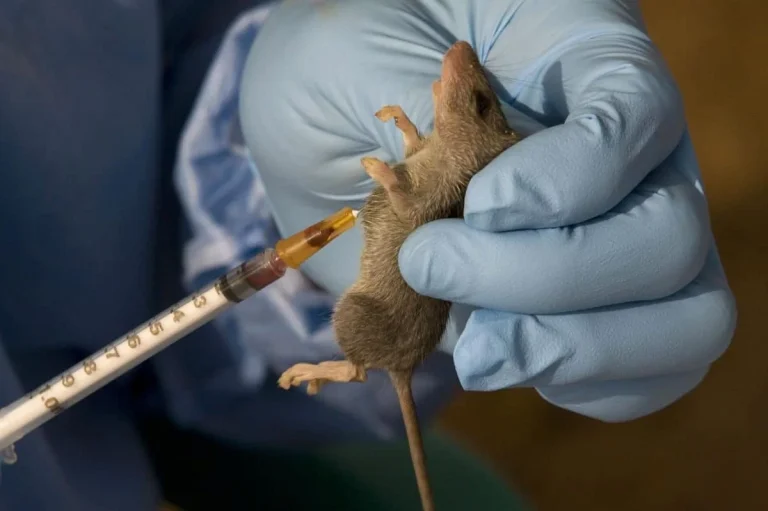LASSA-FEVER-1