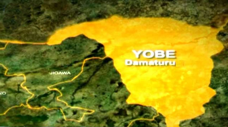 Yobe-State-map-1