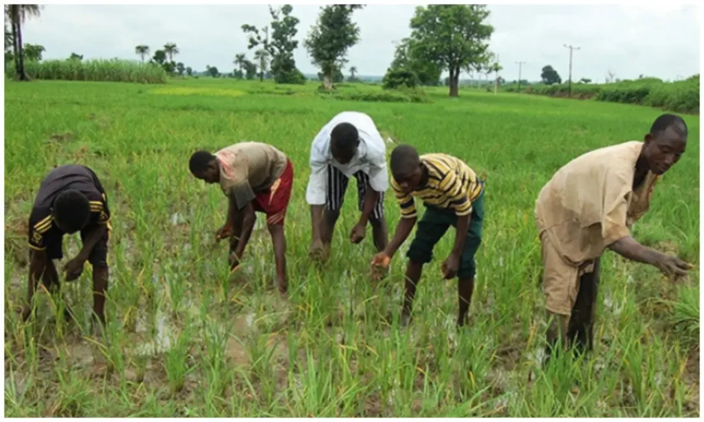 farmers